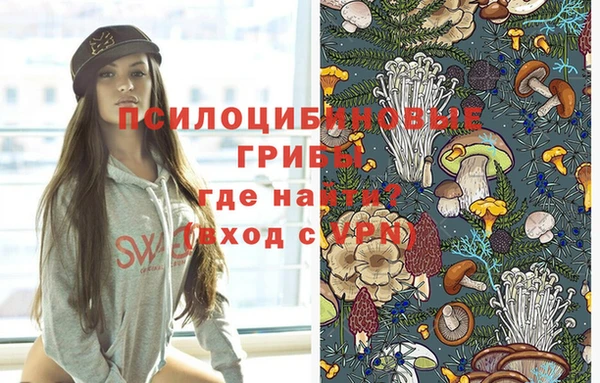 гидропоника Богданович