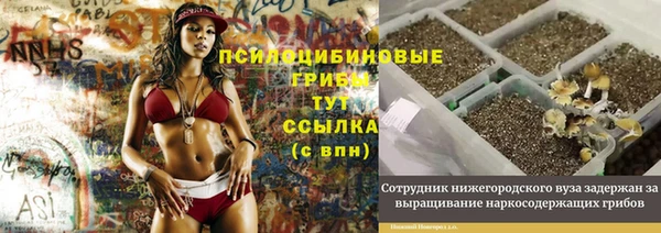 spice Саяногорск
