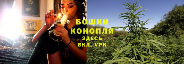 гидропоника Богданович
