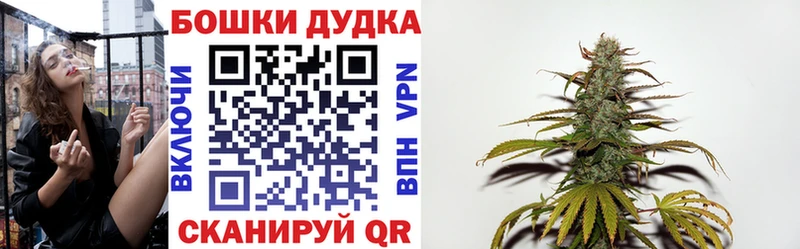 купить наркоту  Мураши  ОМГ ОМГ ССЫЛКА  Бошки Шишки планчик 